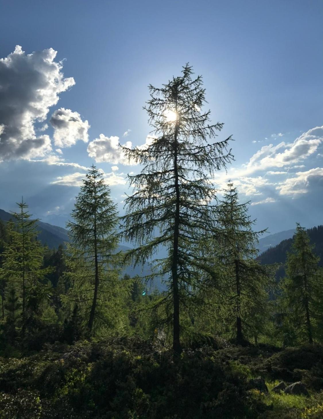 Apart Sonnenheim Kaunertal Exteriér fotografie